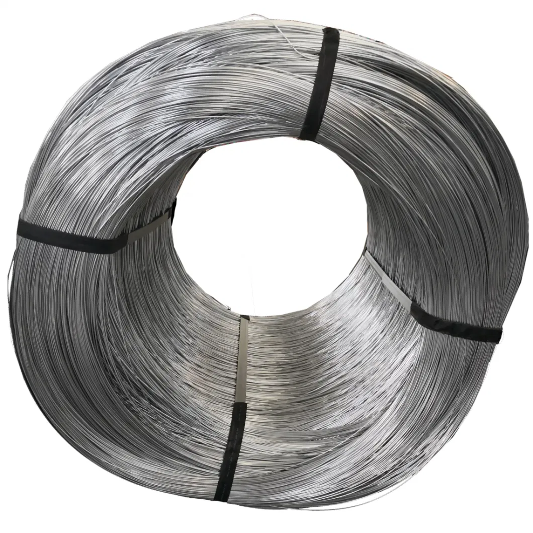 Galvanized Hardened Concrete Steel Nails