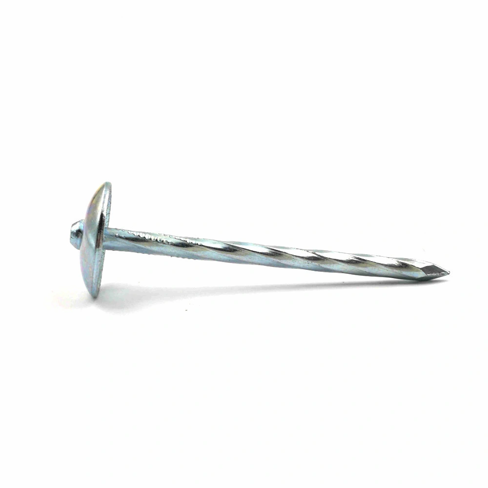 Roofing Nails/Corrugated Nails Galvanized Twisted Shank