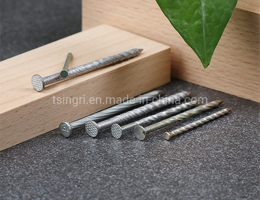 TGR/Tsingri Stainless Steel Flat Round Water Head Spiral Shank Concrete Nails Knurled Body Nails