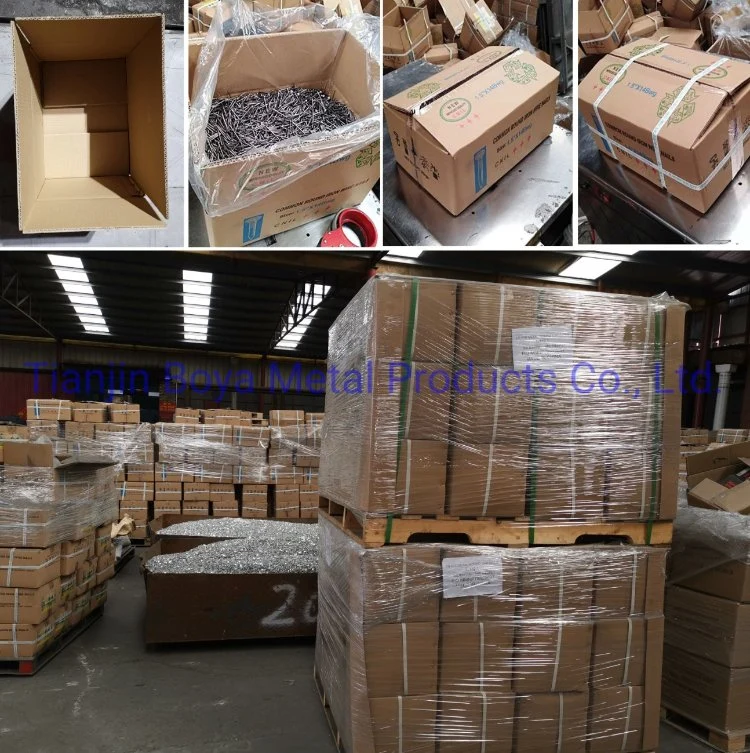 Factory Supply Galvanized Pallet Nail