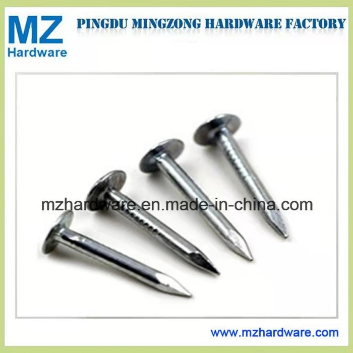 Hot Dipped Galvanized Large Flat Head Roofing Clout Nail