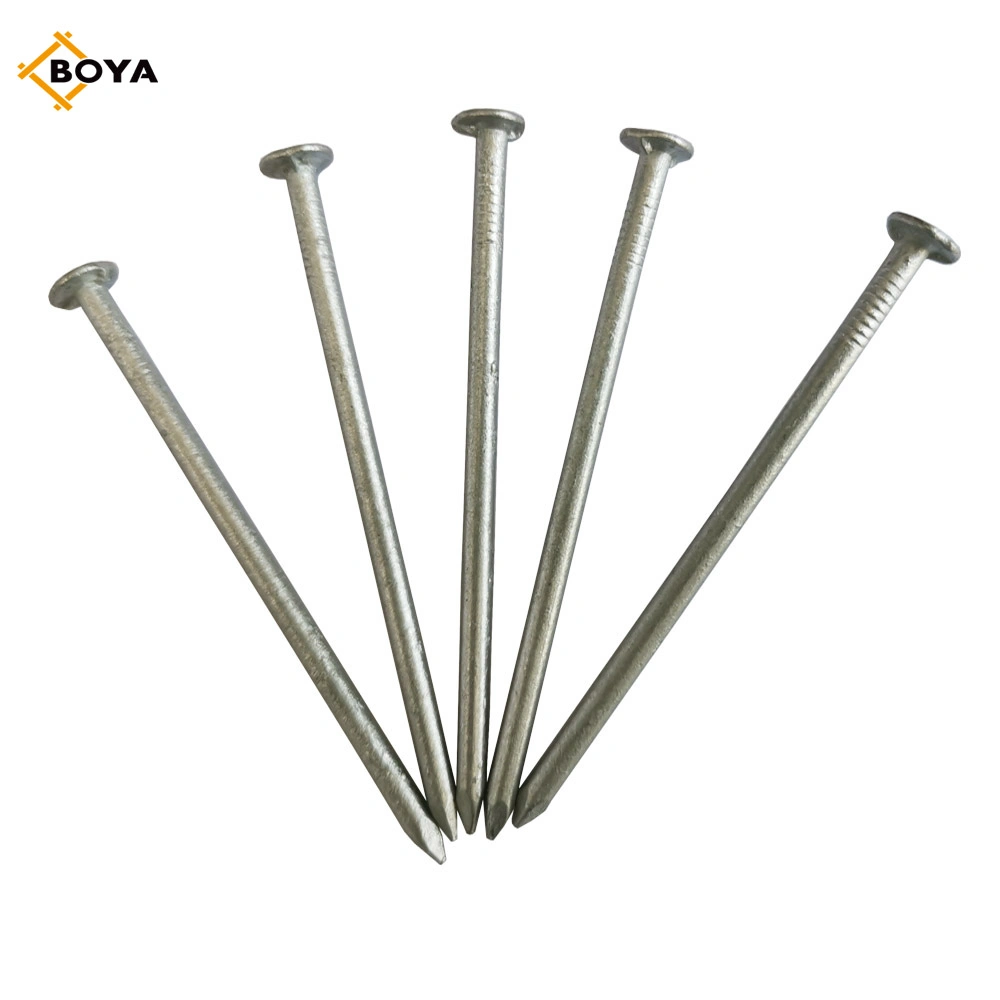 Hot Dipped Galvanized Wood Construction Common Iron Nail