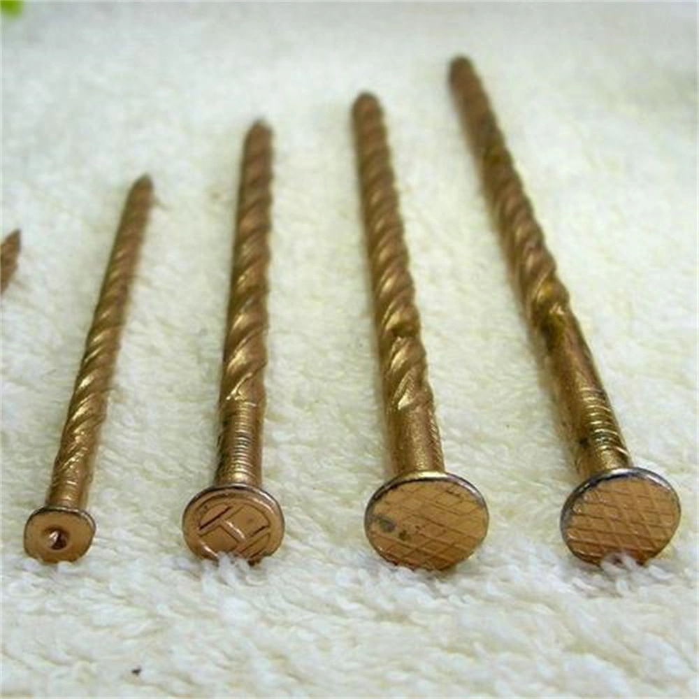 304 Stainless Steel Threaded Nail Galvanized Round Head Nail