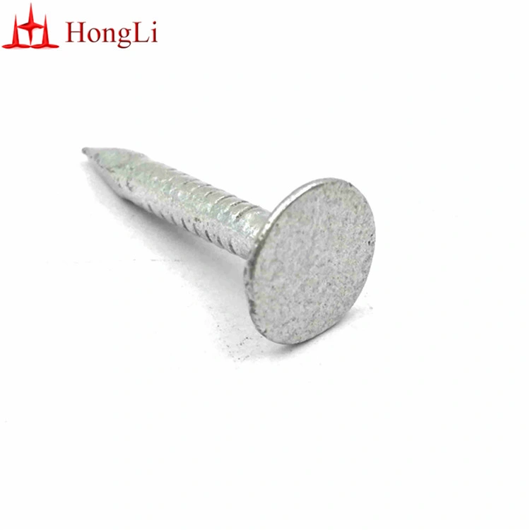 1 Inch High Quality Galvanized Large Flat Head Zinc Coating Iron Clout Nails Roofing Ceiling Nails