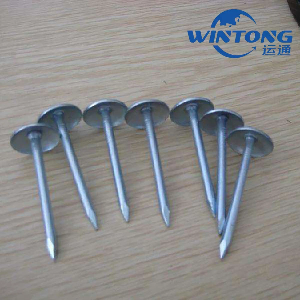 Self - Sale Daily Hardware Hemp Pole Nail Corrugated Nail