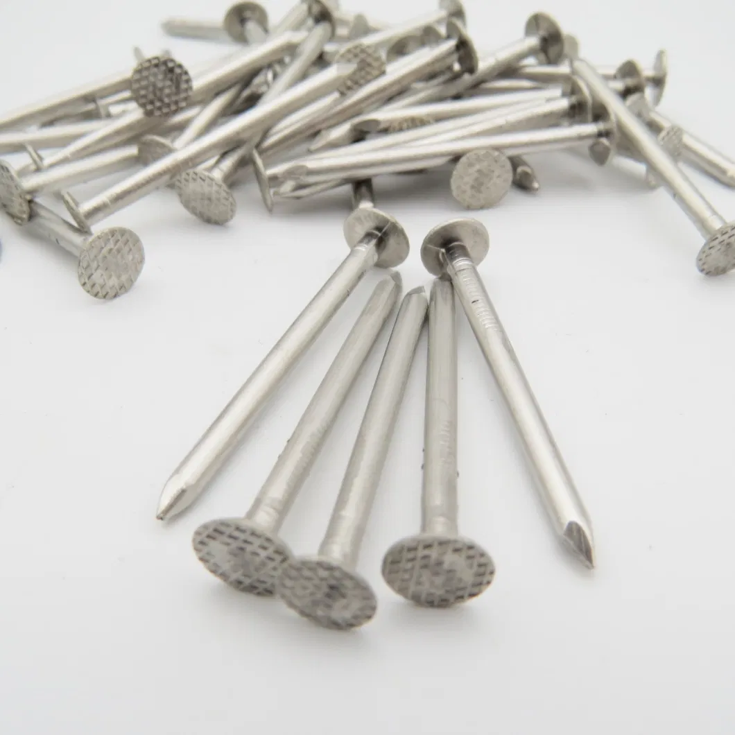 304 Stainless Checkered Head Clout Roofing Nails