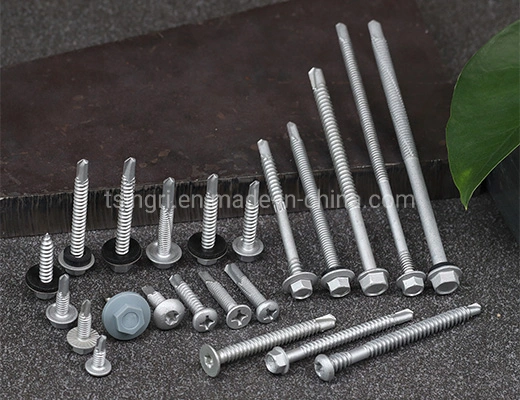 TGR/Tsingri Australian Anticorrosion Surface AS3566 Hex Head Bi-Metal Screws Drilling Screws