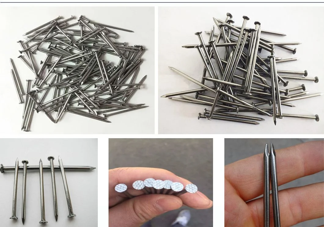 Iron Clavo Best Price Round Head Carbon Steel Iron Wire Nail Common Nails for Wood Furniture