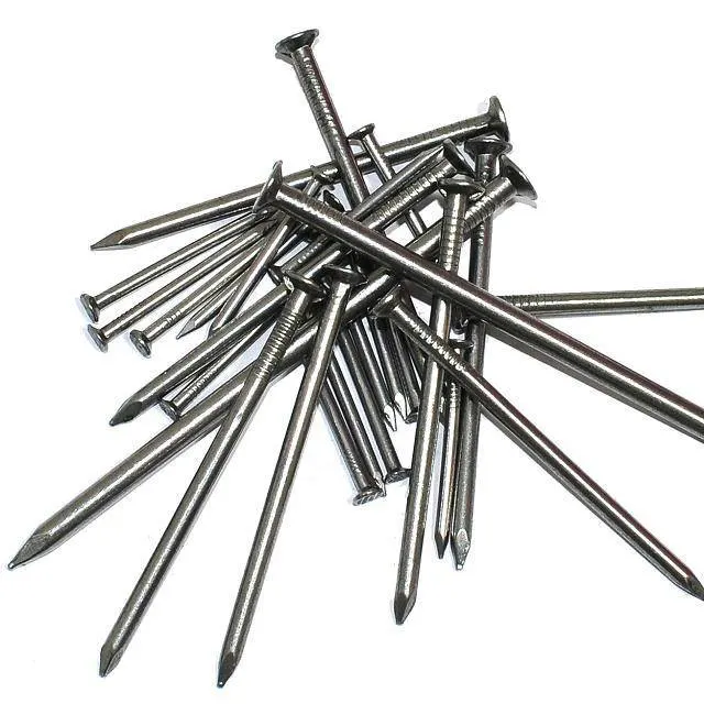 Common /Square Boat /Roofing/Duplex /Plastic Cap /Concrete /Coil /Clavo/Prego Nails