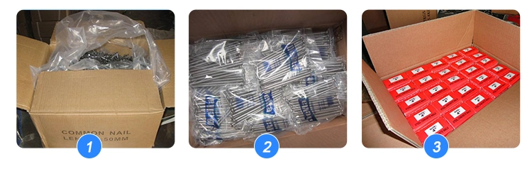 Factory Price Prego Clavos Common Steel Nails Iron Wire Nail for Construction