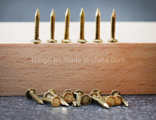 TGR/Tsingri China Factory Supply Brass Copper Flat Head Common Nails