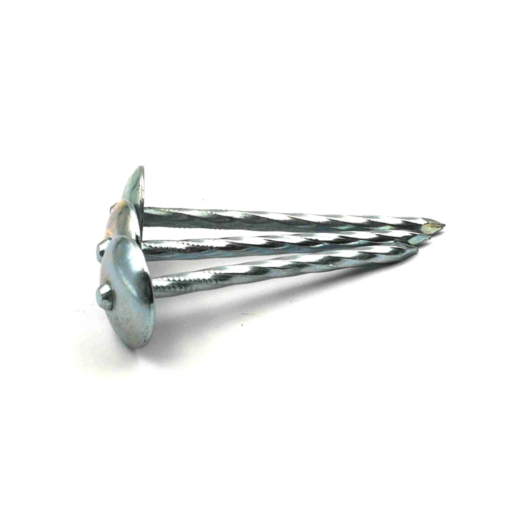 Galvanized Umbrella Head Roofing Nail with Spiral Shank