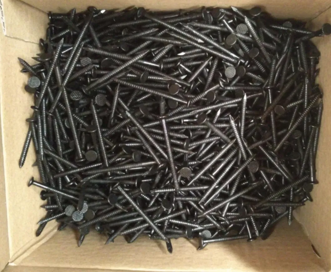 Black Ring Shank Roofing Nail with Black Thread Shank Iron Nail