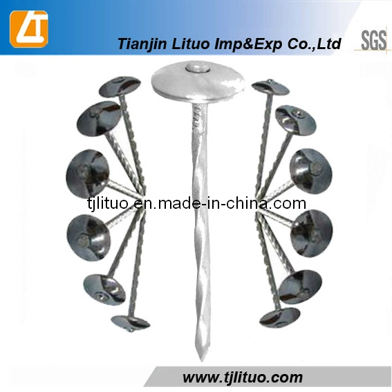 Electro Galvanized Umbrella Head Roofing Nails