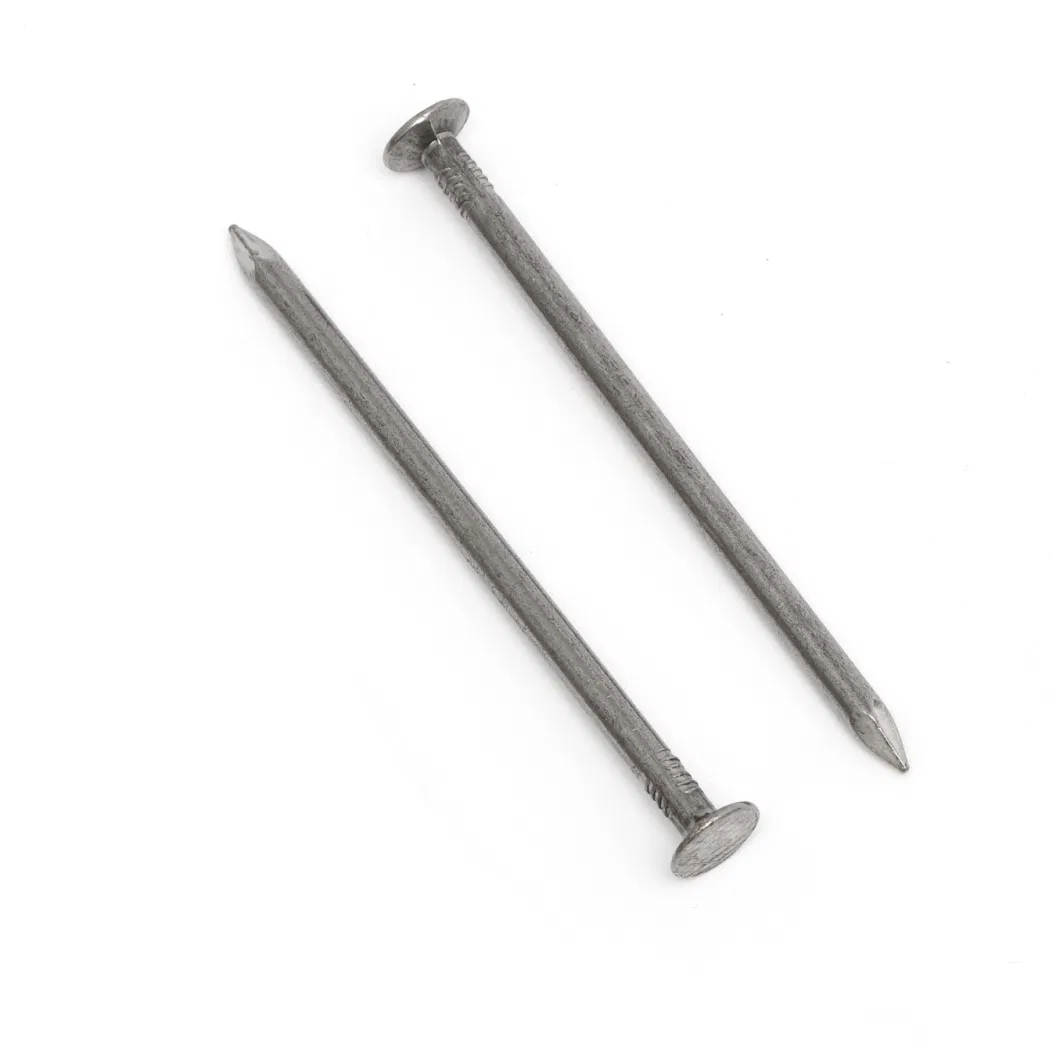 Duplex Nail Polished 17X27 Cabe&Ccedil; a Dupla Double Head Nails with Smooth Shank for Building and Construction