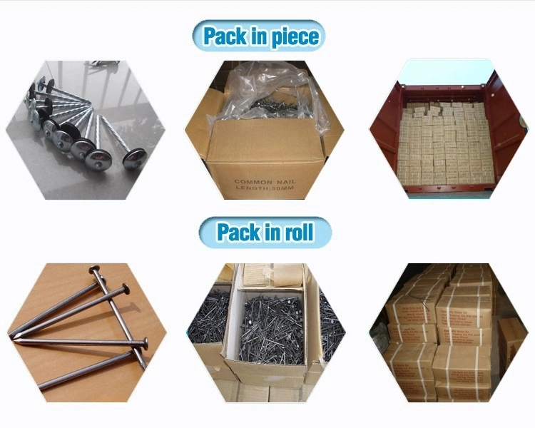 China Manufacturer Corrugated Roofing Nails with Rubber Washer