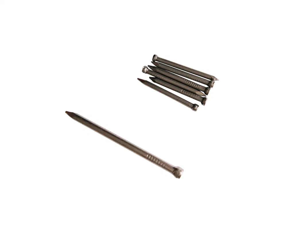 Common Wire Nail Professional Manufacturer in China