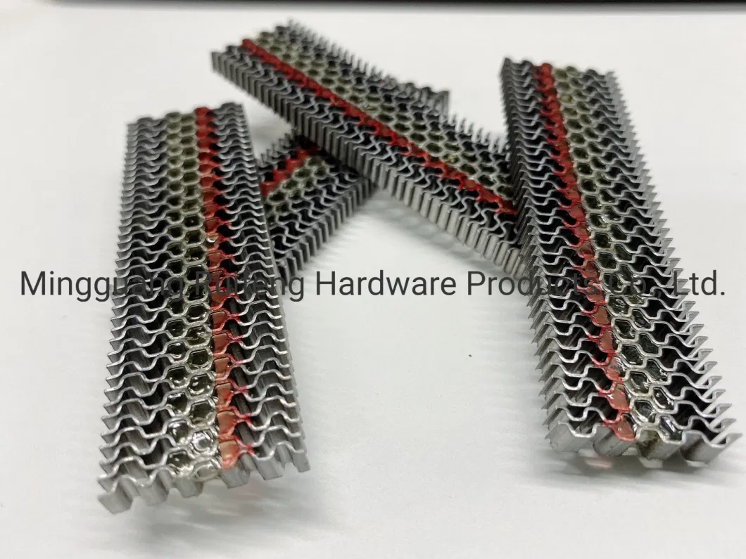 Length: 6.0mm W6 Series Corrugated Fasteners Ruifeng Brand Steel Nail