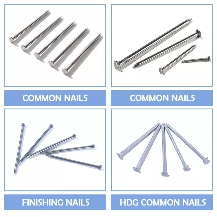 Round Head Common Nails