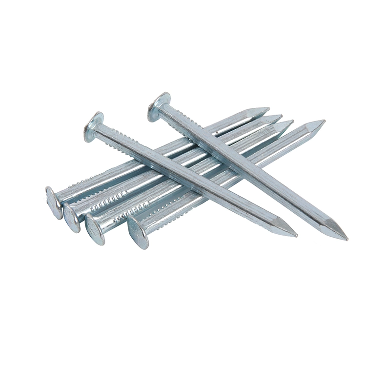 Singapore Market/China Wholesale Zinc Galvanized Steel Square Shank Boat Nails