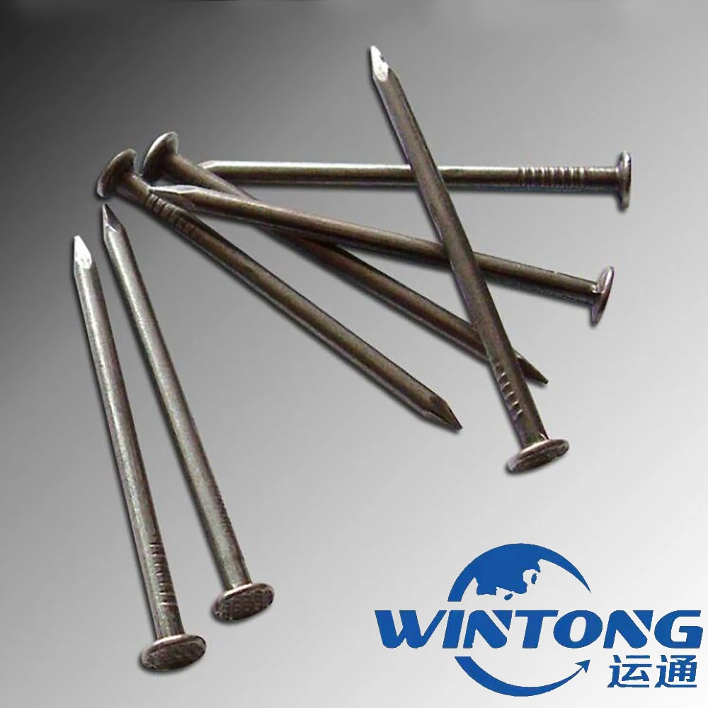 Countersunk Head Silver Zinc Common Drywall Nail/Common Nails