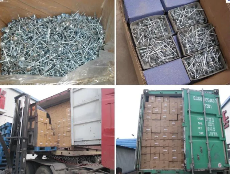 Roofing Nails/Corrugated Nails Galvanized Twisted Shank