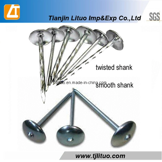 Electro Galvanized Umbrella Head Roofing Nails