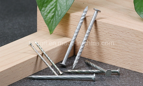 TGR/Tsingri Stainless Steel Flat Round Water Head Spiral Shank Concrete Nails Knurled Body Nails