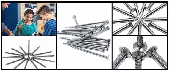 Size Bwg6- Bwg18 1 Kg 10kgs 25kgs Prices Per Kg Polished Flat Head Common Round Wire Steel Iron Nails