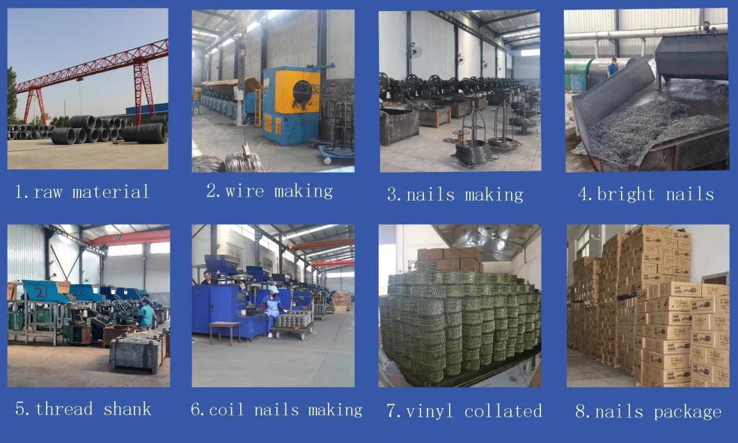 Factory Price Galvanized or Vinyl Coated Screw Nails Smooth Shank Pallet Coil Nails Head Cross Wood