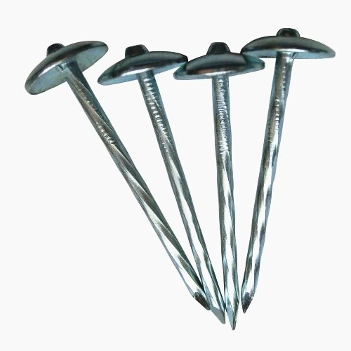 Galvanized Umbrella Roofing Nail of African Market