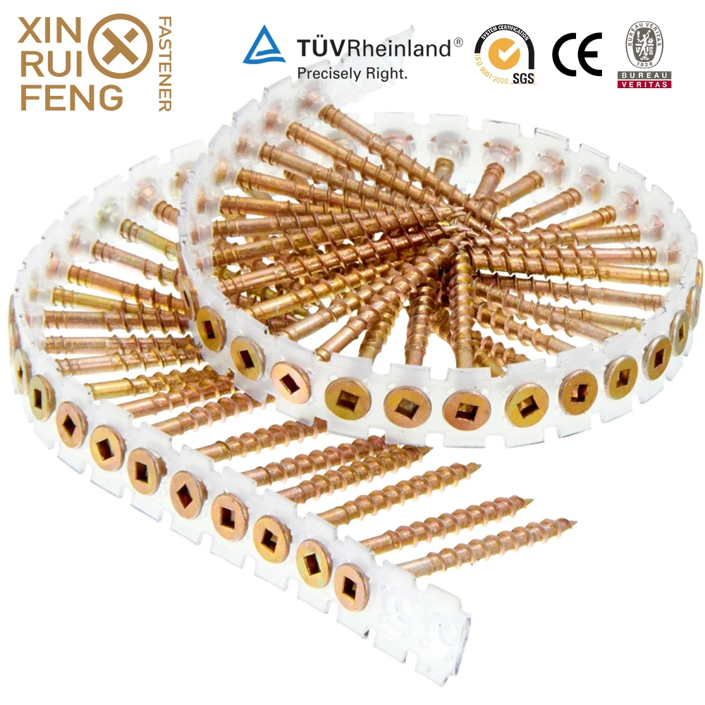 Xinruifeng Fasteners Zinc Ruspert pH. Torx Square Pozi Drive Bugle Csk Head Band Collated Hi Lo Thread Self Tapping Drilling Wood Chipboard Deck Drywall Screws