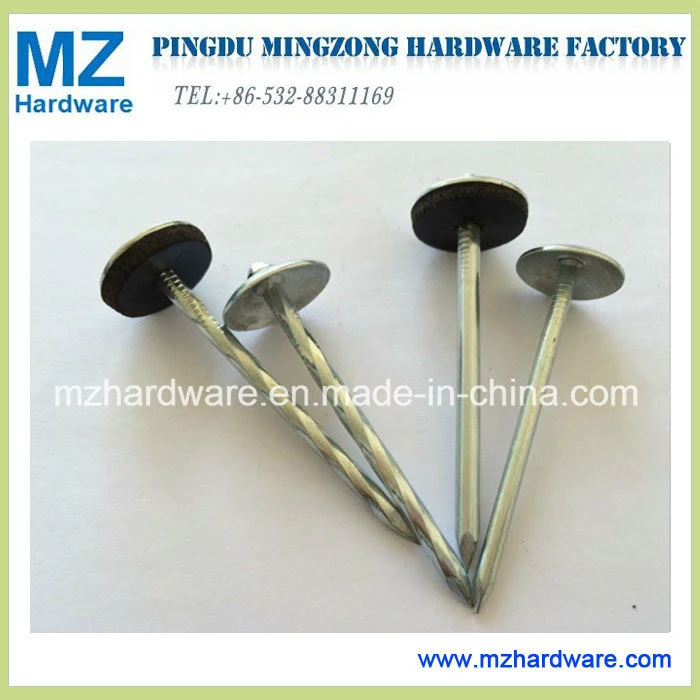 Umbrella Head Roofing Nail with Rubber Washer/Common Wire/ Cupper/Steel Concrete Nail/Cheap Common Nails/Concrete Steel Nail /Iron Nail/Polished Wire Nail/Commo