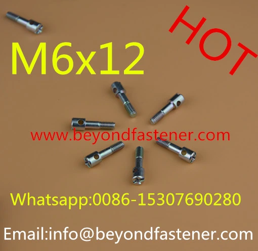 Terminal Screw/Bolts/Terminal Cover Screw/Fastener