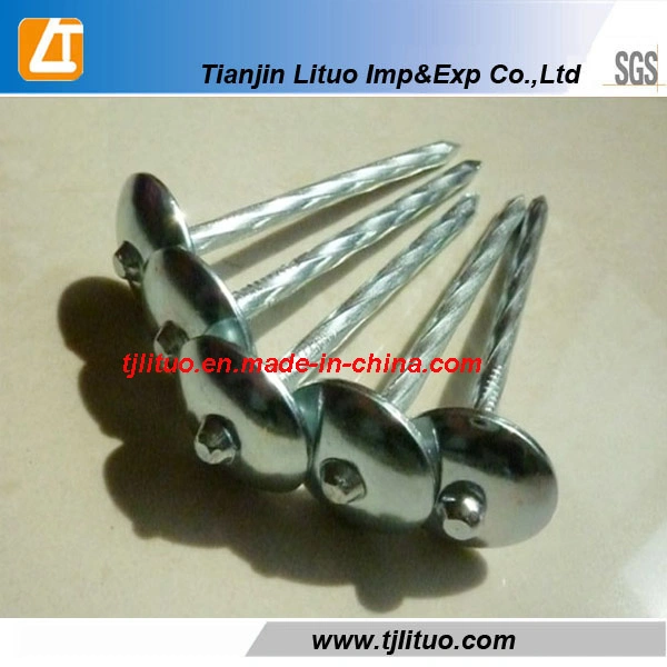 Electro Galvanized Umbrella Head Roofing Nails