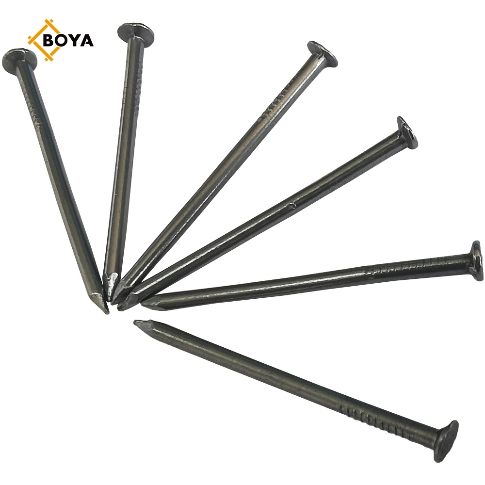 Hot Dipped Galvanized Polished Smooth Shank Common Iron Wood Nail/Clavos for Building