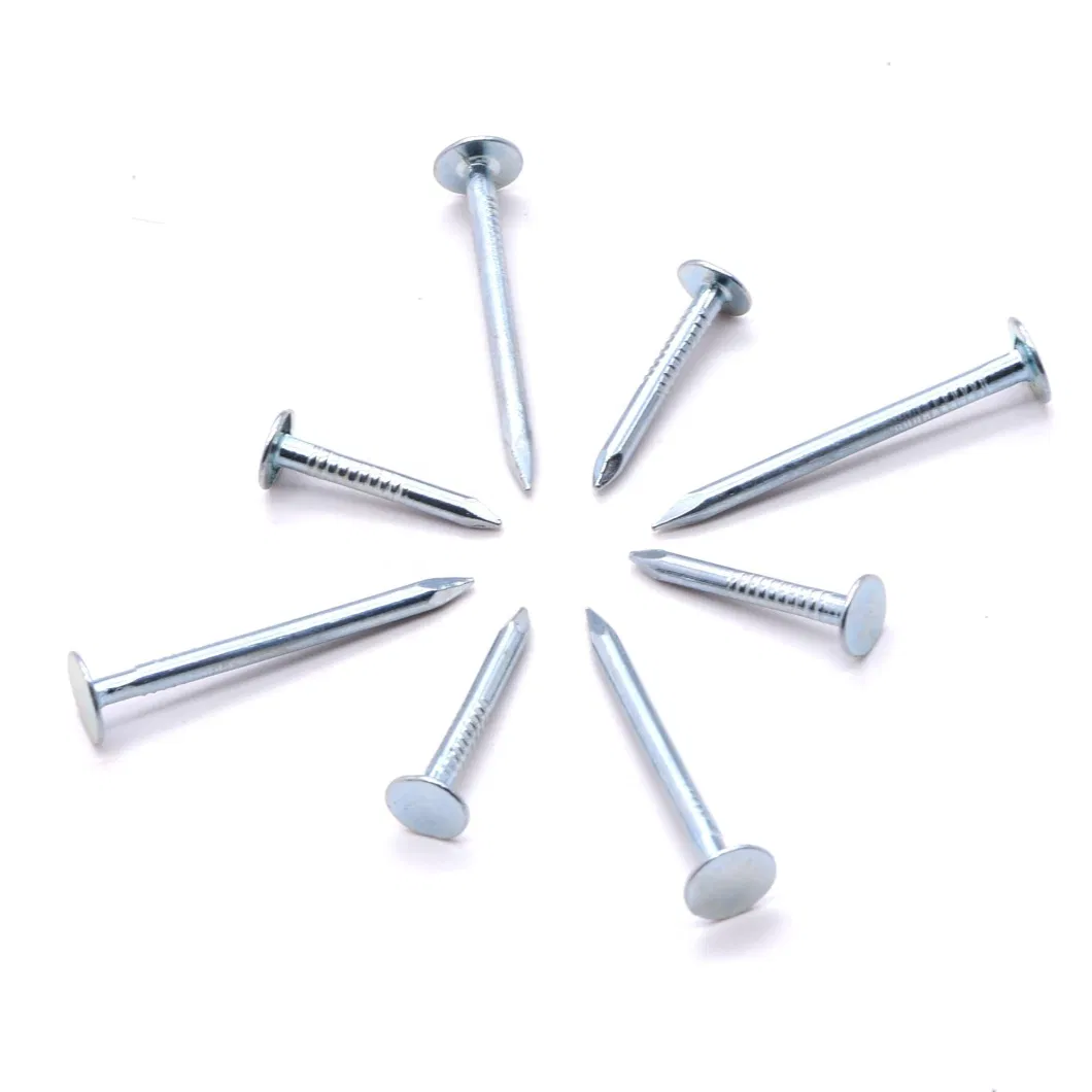 White Zinc Clout Nail with Customized Package for Building