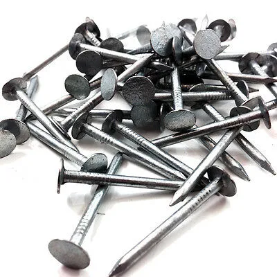 Factory Galvanised Clout Nails Extra Large Head 13mm X 3mm Roofing Felt Nails. Shed