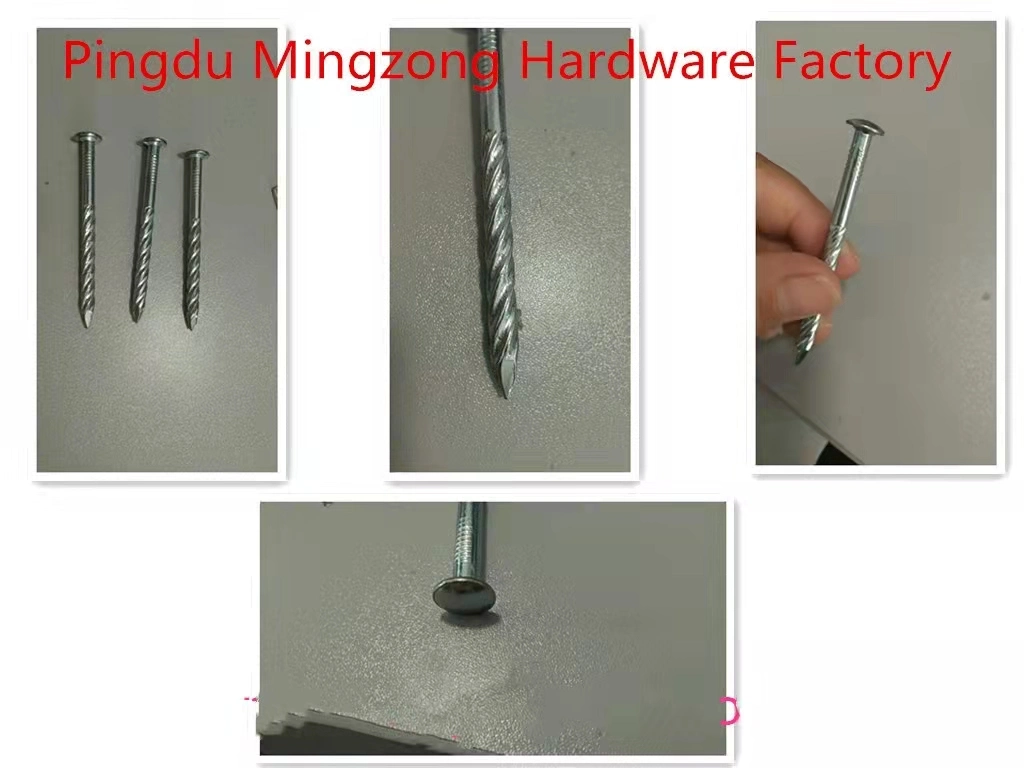 Steel Concrete Nail Galvanized Steel Nail with Twisted Shank