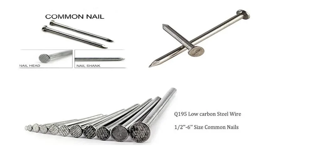 Q195 Low Carbon Steel Wire Common Flat Head Nails for Making Furniture