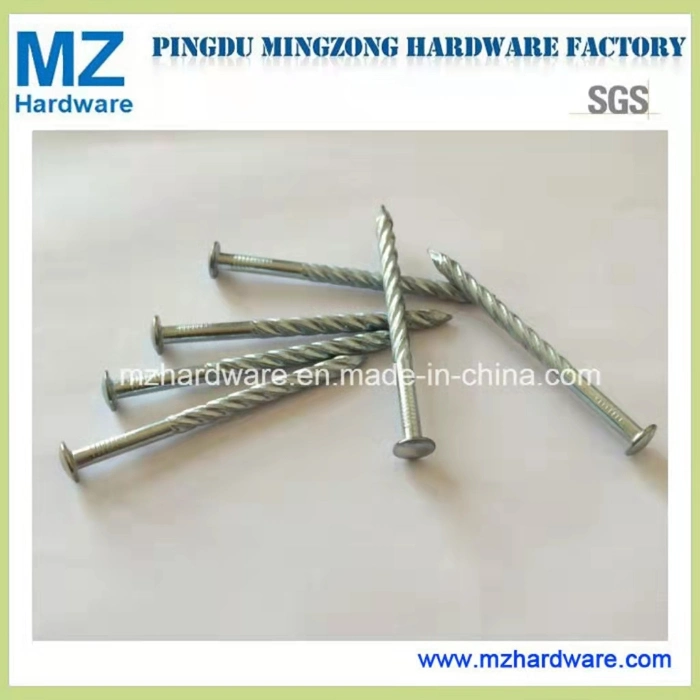 Steel Concrete Nail Galvanized Steel Nail with Twisted Shank