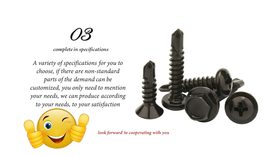 Carbon Steel Grade 4.8 8.8 10.9 12.9 Black Zinc Coated Phillips Pan Head Cylindrical Head Self-Drilling Screws DIN7504