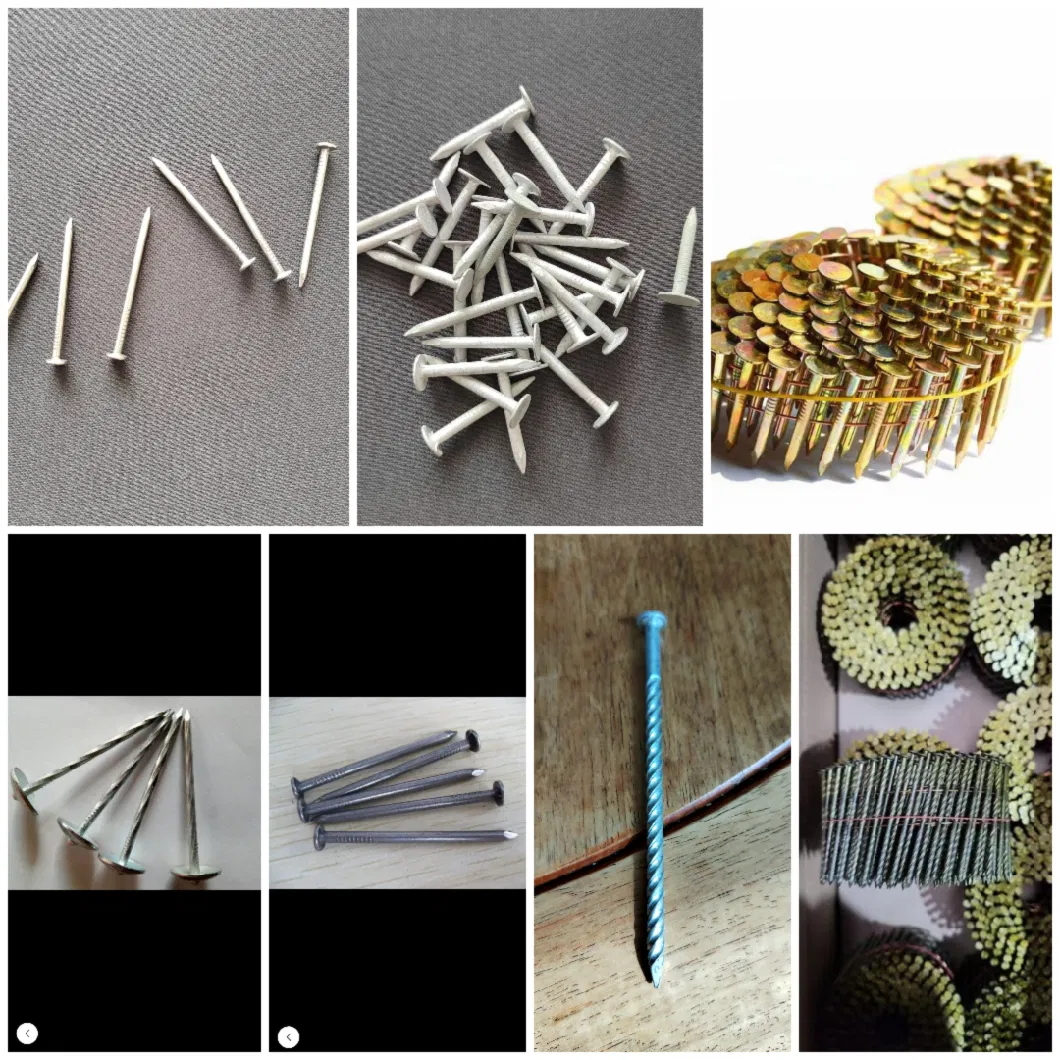 Common Iron Nail, Steel Nail