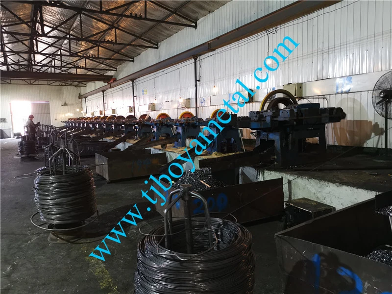 China Electrical Galvanized Large Head Flat Clout Nail for Construction