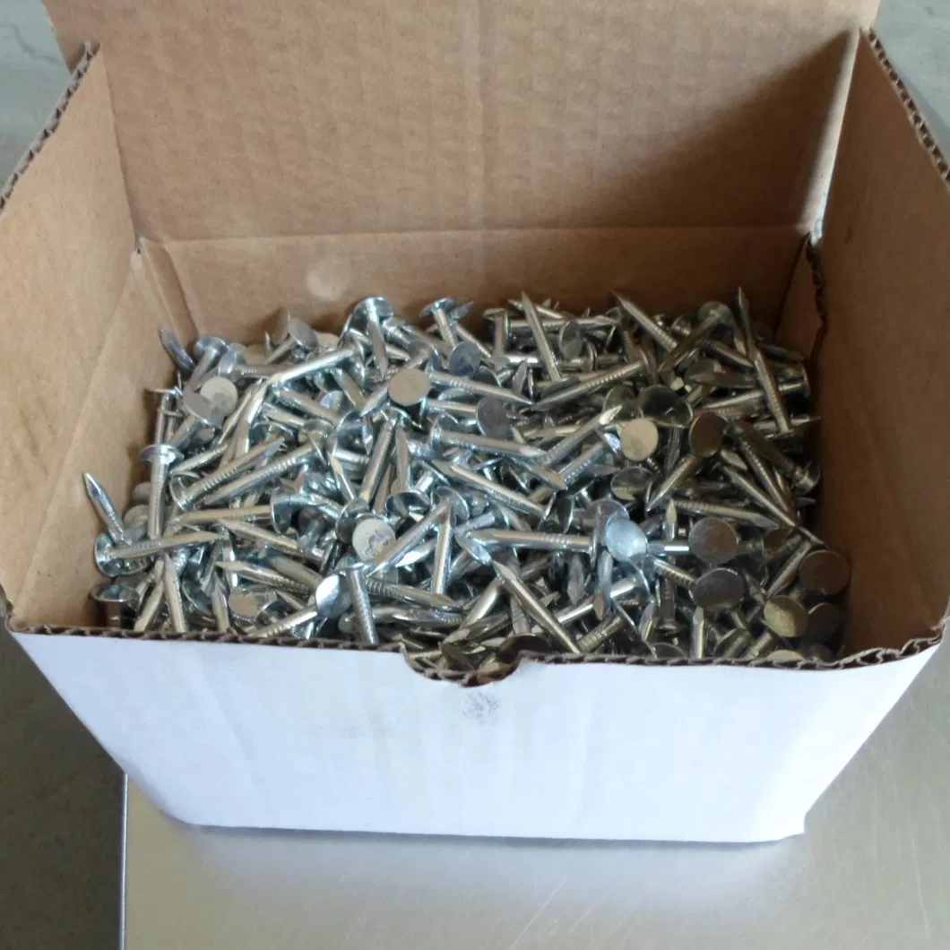 Blue Zinc Coated Flat Head Clout Iron Nail/Common Construction Iron Nails for Construction and Building Made in China