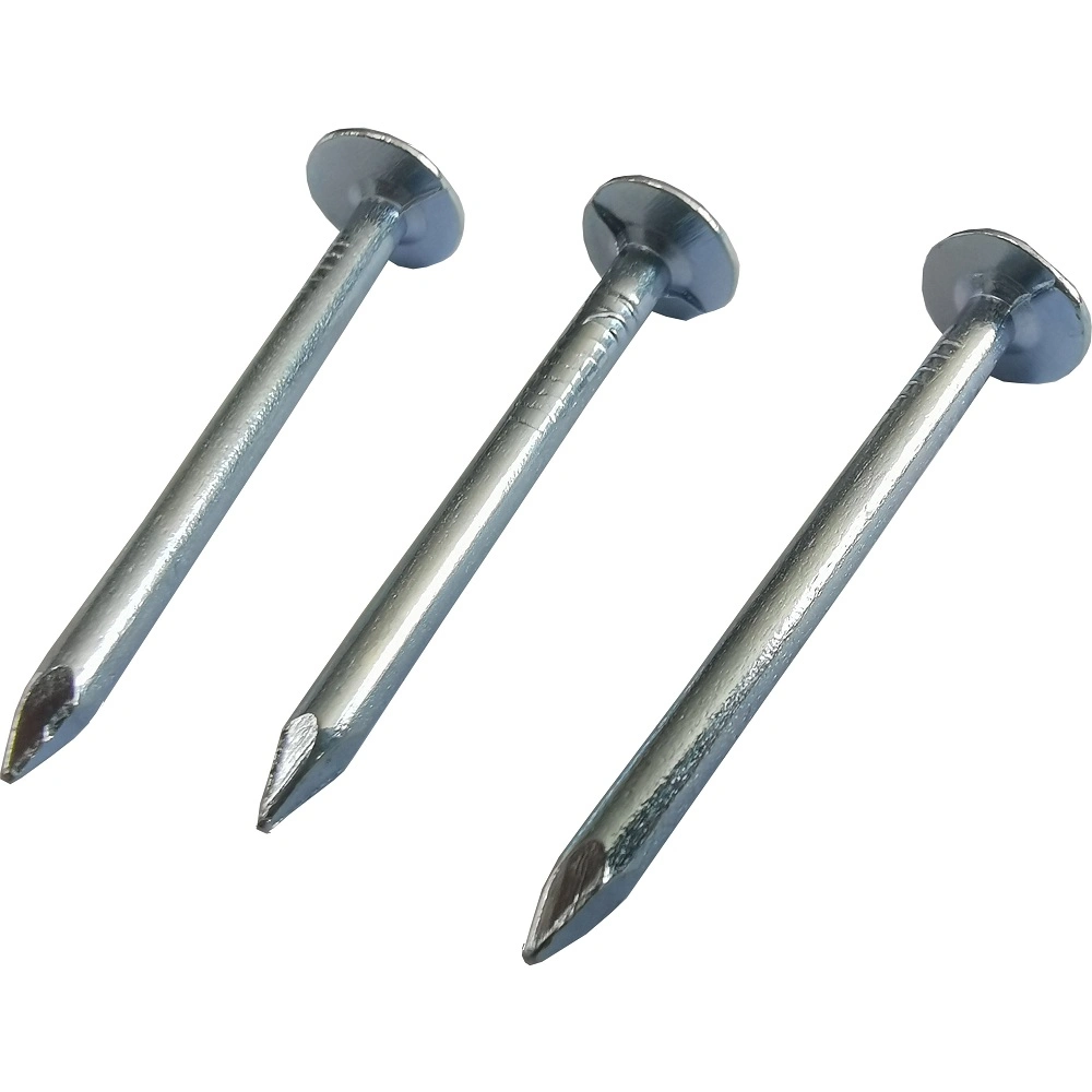 Customized Clout Nail Q195 Metarial for Building with Reasonable Price