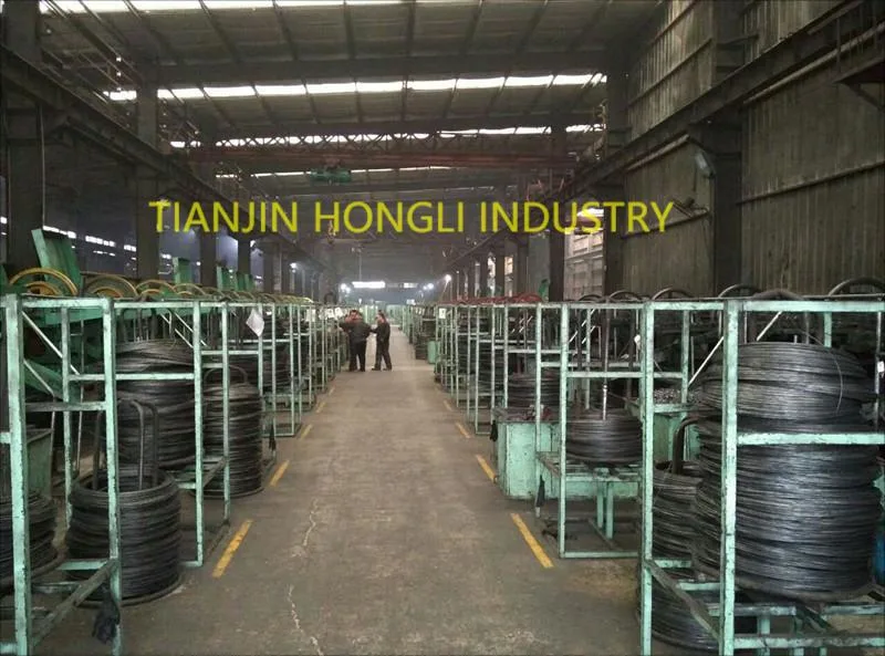 1/2&quot;-14&quot; Polished/Electric Galvanized/Hot DIP Galvanized Common Nail From Tianjin Hongli Industry