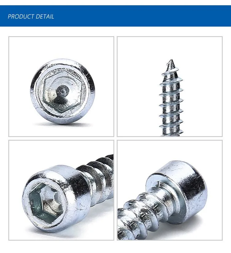 Blue-White Zinc Plated Furniture Cylindrical Head Hexagon Socket Self-Tapping Screw