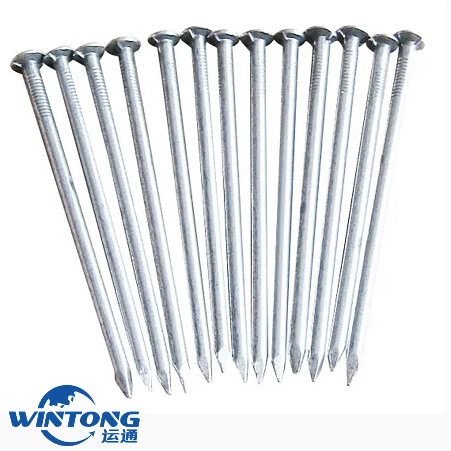 Corrosion Resistant/Electro-Galvanized/Round Tip / 3-Inch/Common Nail