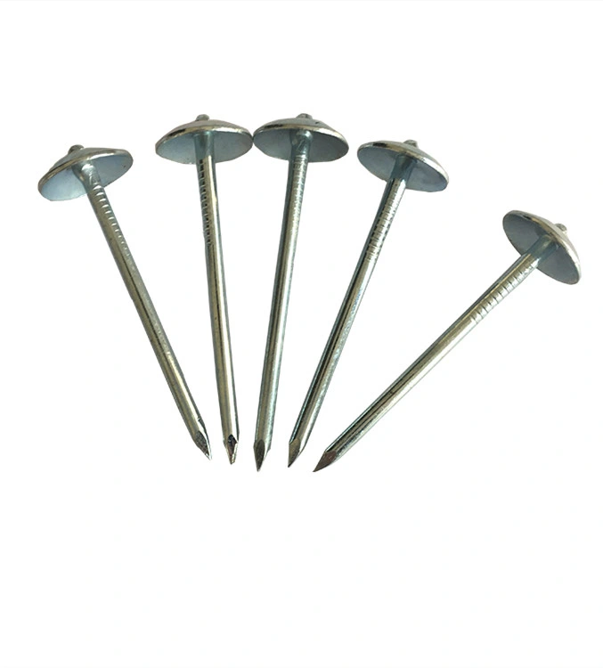 Umbrella Head Roofing Nails Plain Smooth Shank Mushroom Head Roofing Nail